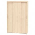 Шкаф-купе Аларти T-3-230х145х45ДМ-3