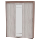 Шкаф-купе Аларти T-3-230х175х45-MЯШТ-ЯШС-2
