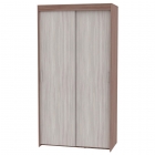 Шкаф-купе Аларти T-1-230х120х60ЯШТ-ЯШС-2