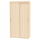 Шкаф-купе Аларти T-1-230х120х60-MДМ-3