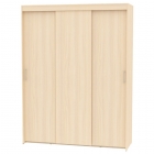 Шкаф-купе Аларти T-3-230х175х60ДМ-1