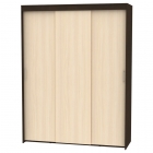 Шкаф-купе Аларти T-3-230х175х60Венге-ДМ-1