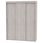 Шкаф-купе Аларти T-3-230х175х60ЯШС-6