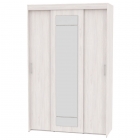 Шкаф-купе Аларти T-3-230х145х60-MЯАС-11