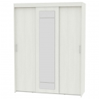 Шкаф-купе Аларти T-3-230х175х60-MВД-4