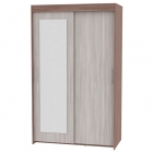 Шкаф-купе Аларти T-1-198х120х45-MЯШТ-ЯШС-2