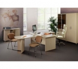 Набор мебели для руководителя Альтерна Премиум Набор 2 Аттика