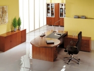 Шкаф для бумаг POINTEX MAN2450001 Вишня