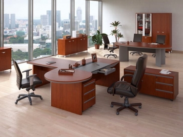 Шкаф для бумаг POINTEX MAN2450001 Вишня