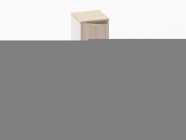 Шкаф 3 узкий закрытый, 1 дверь Персона Грата Deka 10.16.14Л Туя/Белый