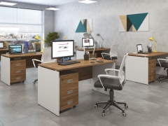 Стол письменный POINTEX TES28410631 Орех