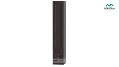 Шкаф пенал для платья с выдвижными ящиками Ева-11 МАГ-РИВЕР 17741