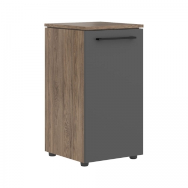 Шкаф колонка с глухой малой дверью Skyland MORRIS TREND MLC 42.1 Антрацит/Кария Пальмира