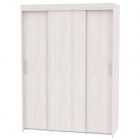 Шкаф-купе Аларти T-3-198х145х60-MВД-13