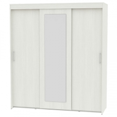 Шкаф-купе Аларти T-3-198х175х45-MВД-2
