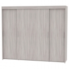 Шкаф-купе Аларти T-5-198х235х60ЯШС-2