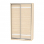 Шкаф-купе Аларти B-230х135х60-2ДМ-D9D9