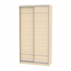 Шкаф-купе Аларти B-230х120х60-2ДМ-D7D7