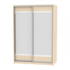 Шкаф-купе Аларти B-230х160х60-1ДМ-D10D10
