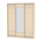 Шкаф-купе Аларти B-230х180х60-1ДМ-D7D8D7