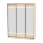 Шкаф-купе Аларти B-230х180х60-2ДМ-D10D10D10