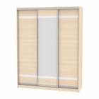 Шкаф-купе Аларти B-230х180х60-3ДМ-D9D10D9