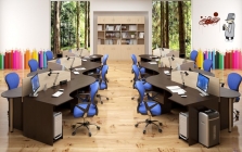 Шкаф с глухими малыми дверьми Skyland Simple SR-2W.1 Дуб Юкон