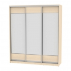 Шкаф-купе Аларти B-230х200х60-2ДМ-D8D8D8