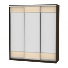 Шкаф-купе Аларти B-230х200х60-2Венге-ДМ-D8D8D8