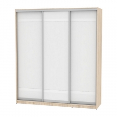 Шкаф-купе Аларти B-230х200х60-2ДСС-Белый-D9D9D9