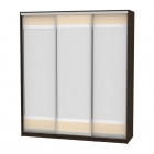 Шкаф-купе Аларти B-230х200х60-2Венге-ДМ-D10D10D10