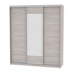 Шкаф-купе Аларти B-230х200х60-2ЯШС-D7D8D7