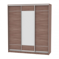 Шкаф-купе Аларти B-230х200х60-2ЯШТ-D7D8D7