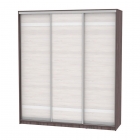 Шкаф-купе Аларти B-230х200х60-3ЯАТ-ЯАС-D9D9D9