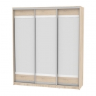 Шкаф-купе Аларти B-230х200х60-3ДСС-D10D10D10