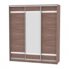 Шкаф-купе Аларти B-230х200х60-3ЯШТ-D9D10D9