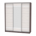 Шкаф-купе Аларти B-230х200х60-3ЯАТ-ЯАС-D9D10D9