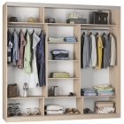 Шкаф-купе Аларти B-230х235х60-2ЯАТ-ЯАС-D10D10D10