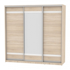 Шкаф-купе Аларти B-230х235х60-2ДСС-D9D10D9