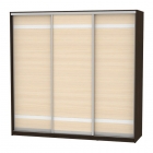 Шкаф-купе Аларти B-230х235х60-3Венге-ДМ-D9D9D9