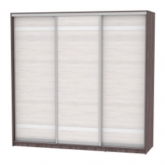 Шкаф-купе Аларти B-230х235х60-3ЯАТ-ЯАС-D9D9D9