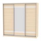 Шкаф-купе Аларти B-230х235х60-3ДМ-D9D10D9