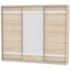 Шкаф-купе Аларти B-230х270х60-1ДСС-D9D10D9