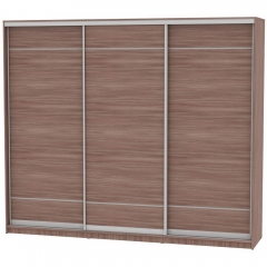 Шкаф-купе Аларти B-230х270х60-2ЯШТ-D7D7D7