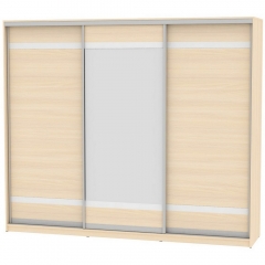 Шкаф-купе Аларти B-230х270х60-2ДМ-D9D10D9