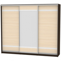 Шкаф-купе Аларти B-230х270х60-2Венге-ДМ-D9D10D9