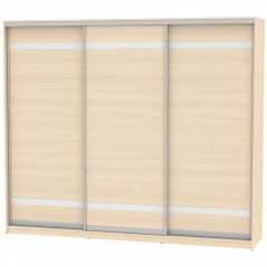 Шкаф-купе Аларти B-230х270х60-3ДМ-D9D9D9