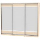 Шкаф-купе Аларти B-230х270х60-3ДМ-D10D10D10