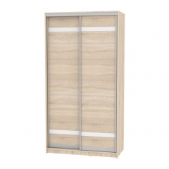 Шкаф-купе Аларти B-220х120х60-1ДСС-D9D9