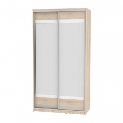 Шкаф-купе Аларти B-220х120х60-1ДСС-D10D10